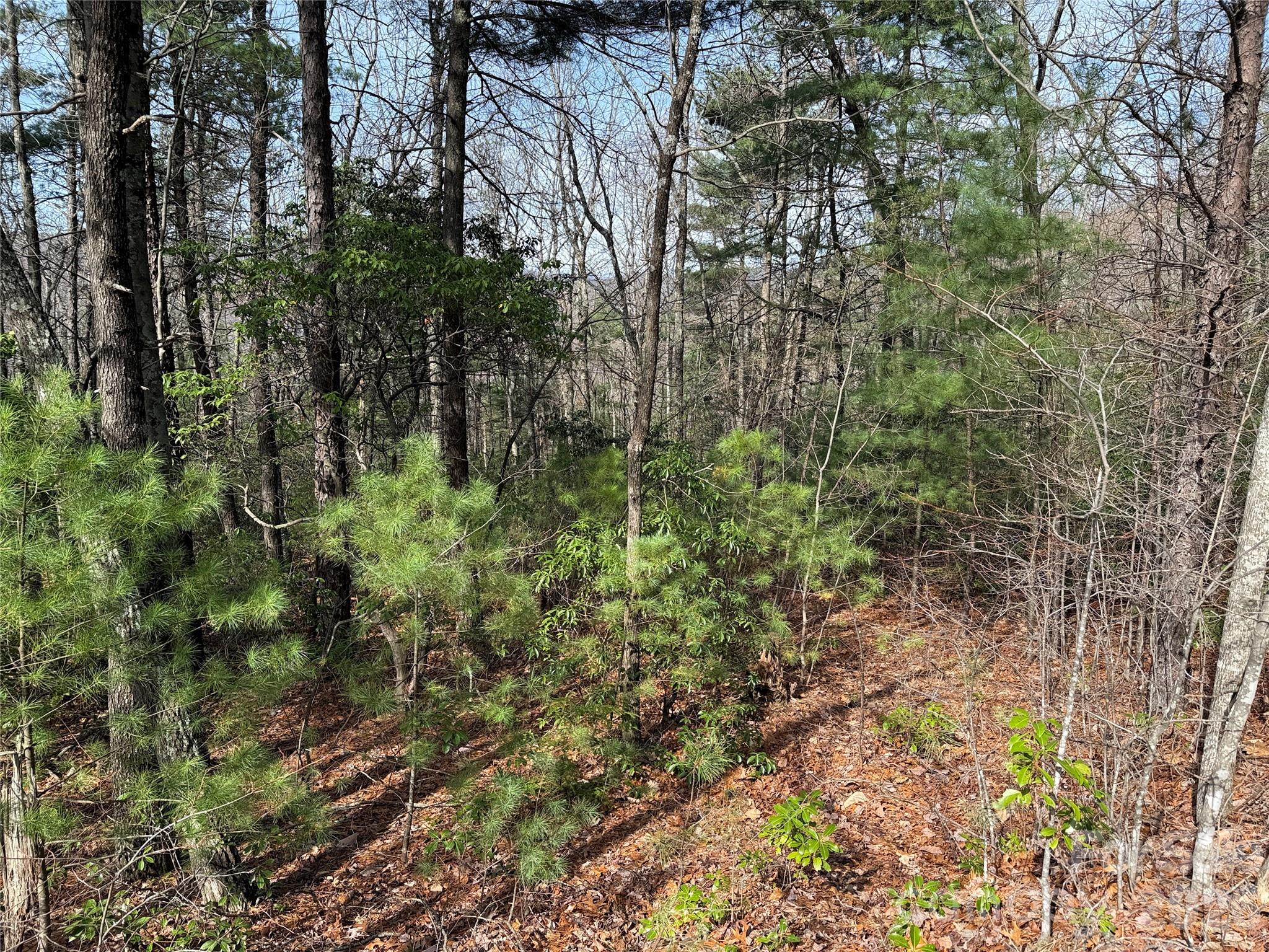 Tbd Casey Mountain Road, Unit 213 Purlear, NC 28665 - Photo 16 of 38