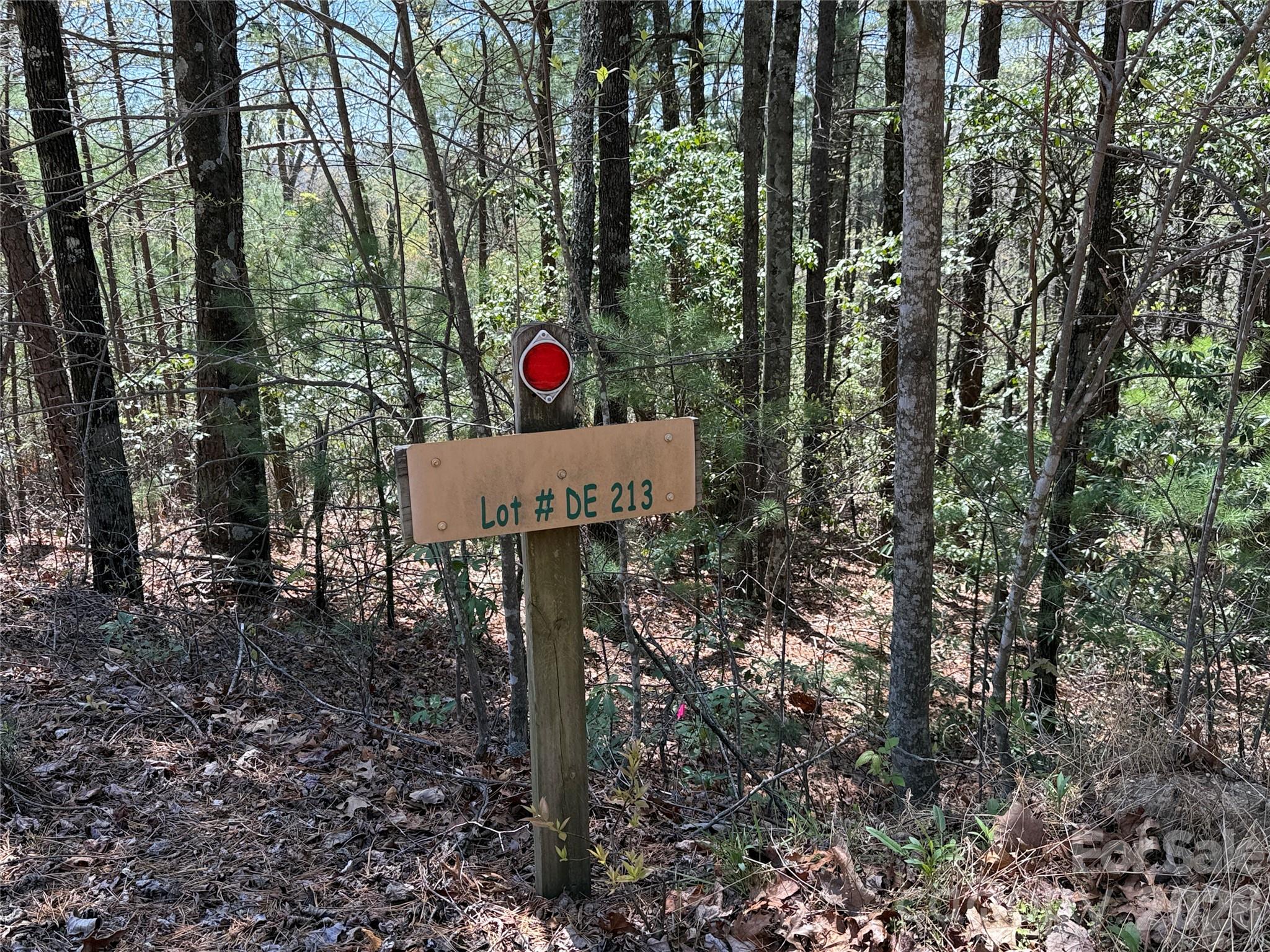 Tbd Casey Mountain Road, Unit 213 Purlear, NC 28665 - Photo 4 of 38