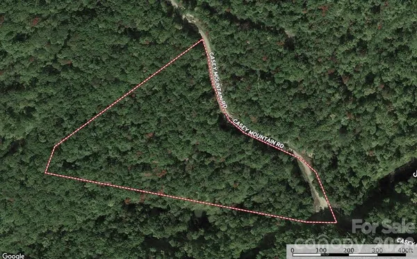 a view of a forest with trees