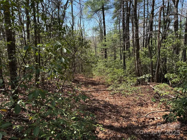 $64,900 | Tbd Casey Mountain Road, Unit 213, Purlear, NC 28665