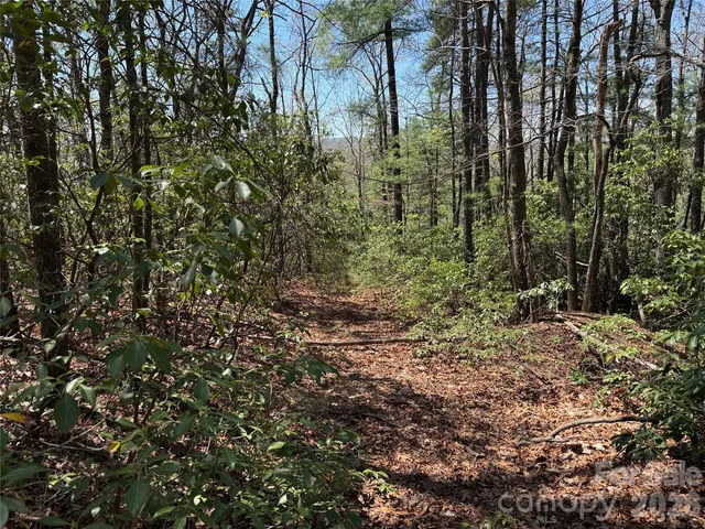 $64,900 | Tbd Casey Mountain Road, Unit 213, Purlear, NC 28665