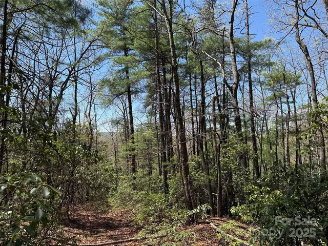 $64,900 | Tbd Casey Mountain Road, Unit 213, Purlear, NC 28665