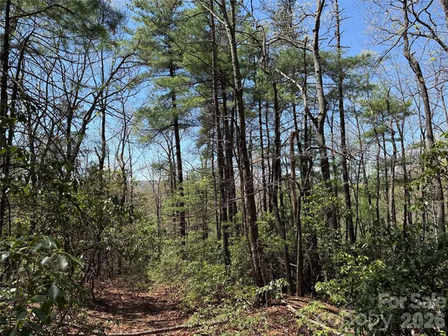 $64,900 | Tbd Casey Mountain Road, Unit 213, Purlear, NC 28665