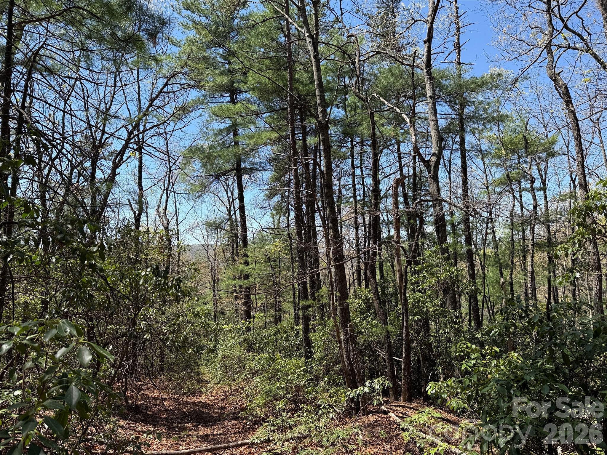 Tbd Casey Mountain Road, Unit 213 Purlear, NC 28665 - Photo 7 of 38