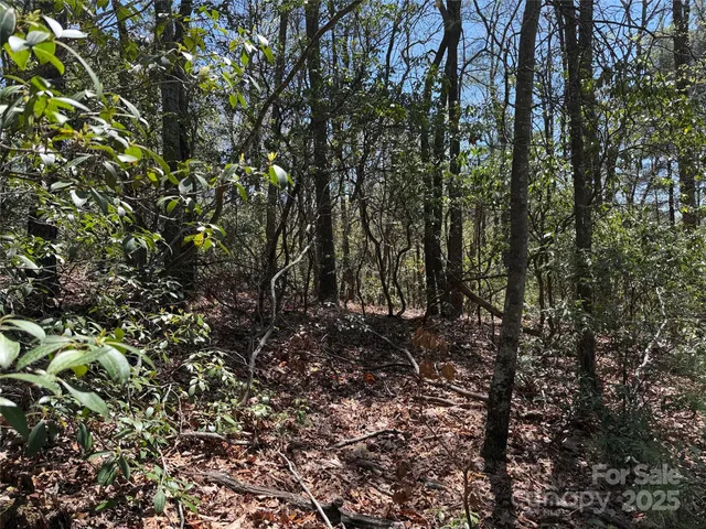 $64,900 | Tbd Casey Mountain Road, Unit 213, Purlear, NC 28665