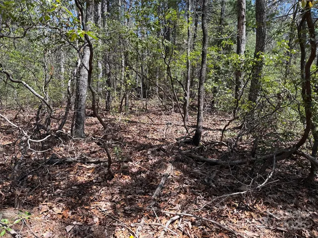 $64,900 | Tbd Casey Mountain Road, Unit 213, Purlear, NC 28665