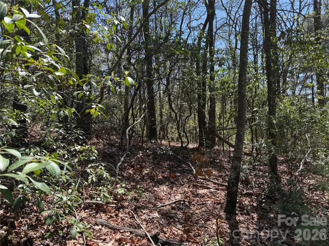 $64,900 | Tbd Casey Mountain Road, Unit 213, Purlear, NC 28665