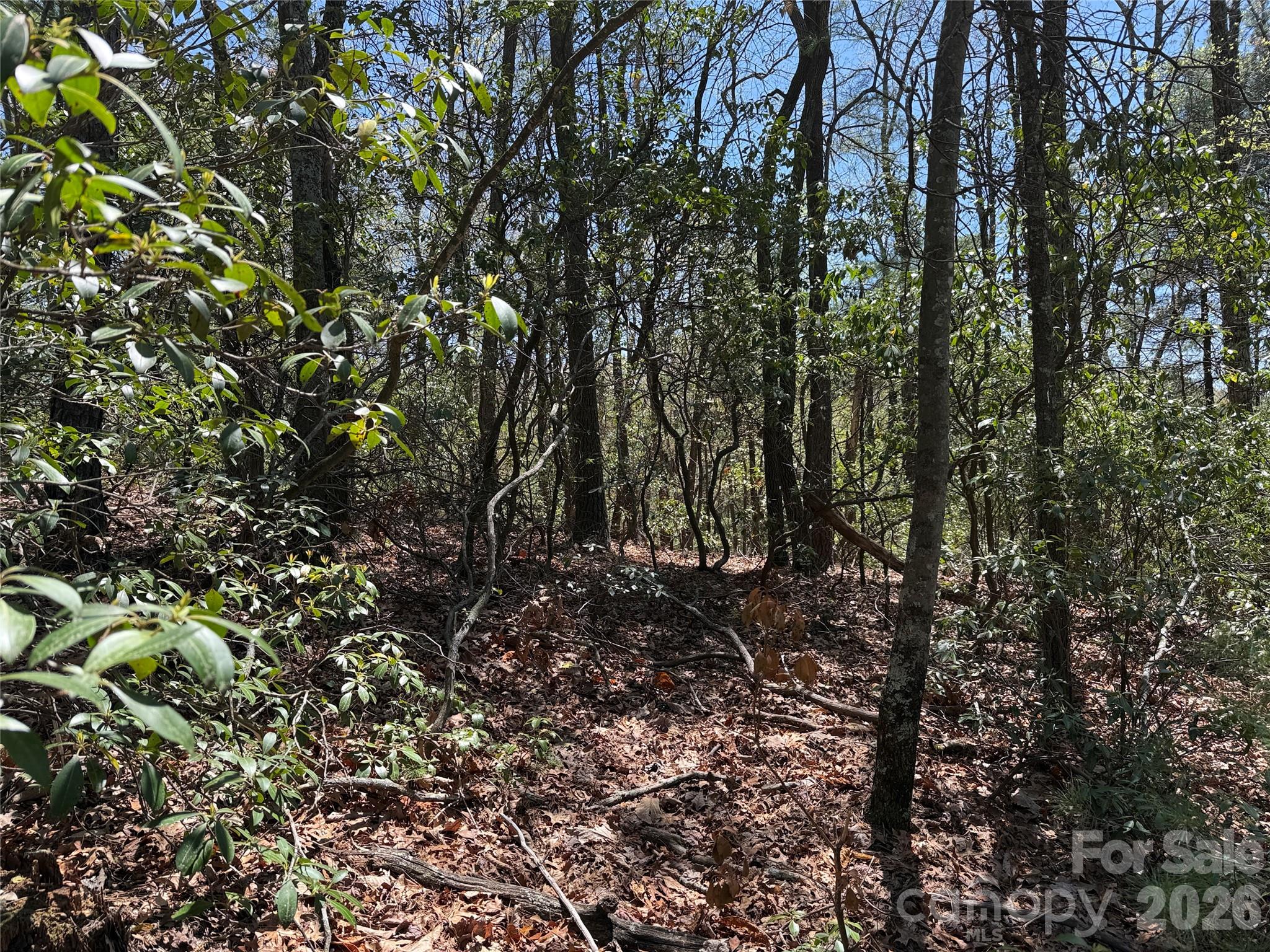 Tbd Casey Mountain Road, Unit 213 Purlear, NC 28665 - Photo 8 of 38