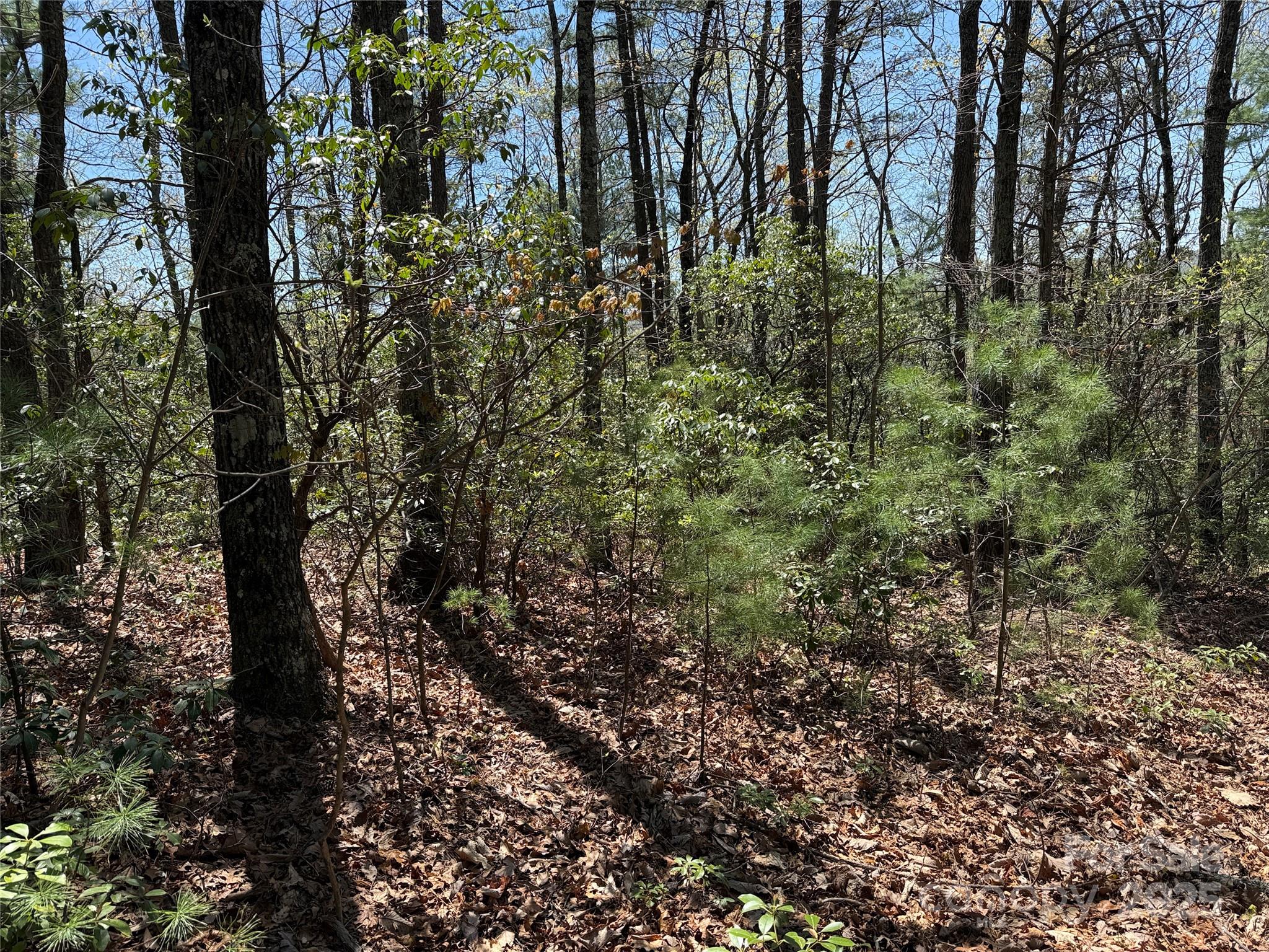 Tbd Casey Mountain Road, Unit 213 Purlear, NC 28665 - Photo 9 of 37