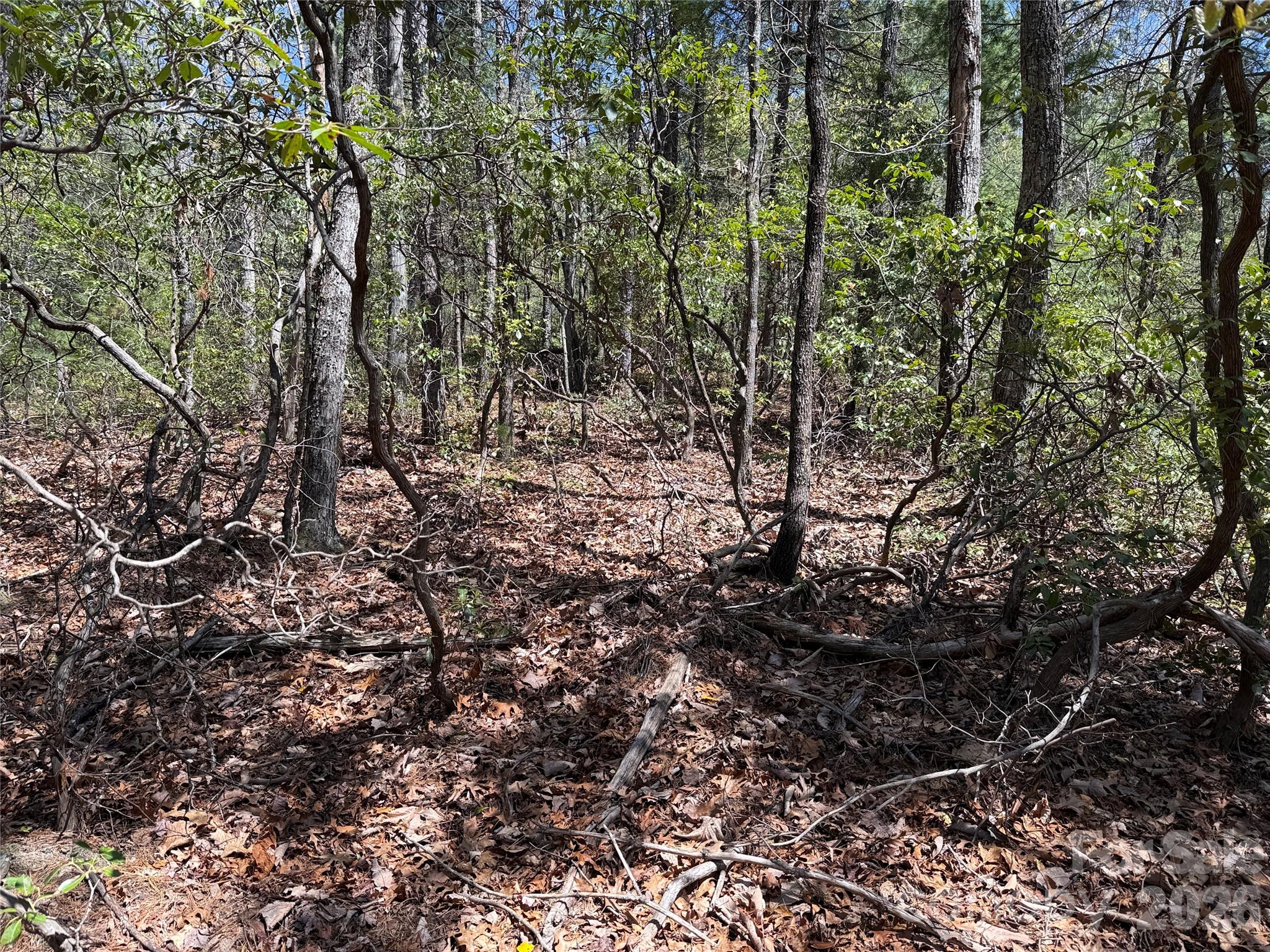 Tbd Casey Mountain Road, Unit 213 Purlear, NC 28665 - Photo 9 of 38