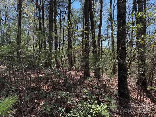 $64,900 | Tbd Casey Mountain Road, Unit 213, Purlear, NC 28665