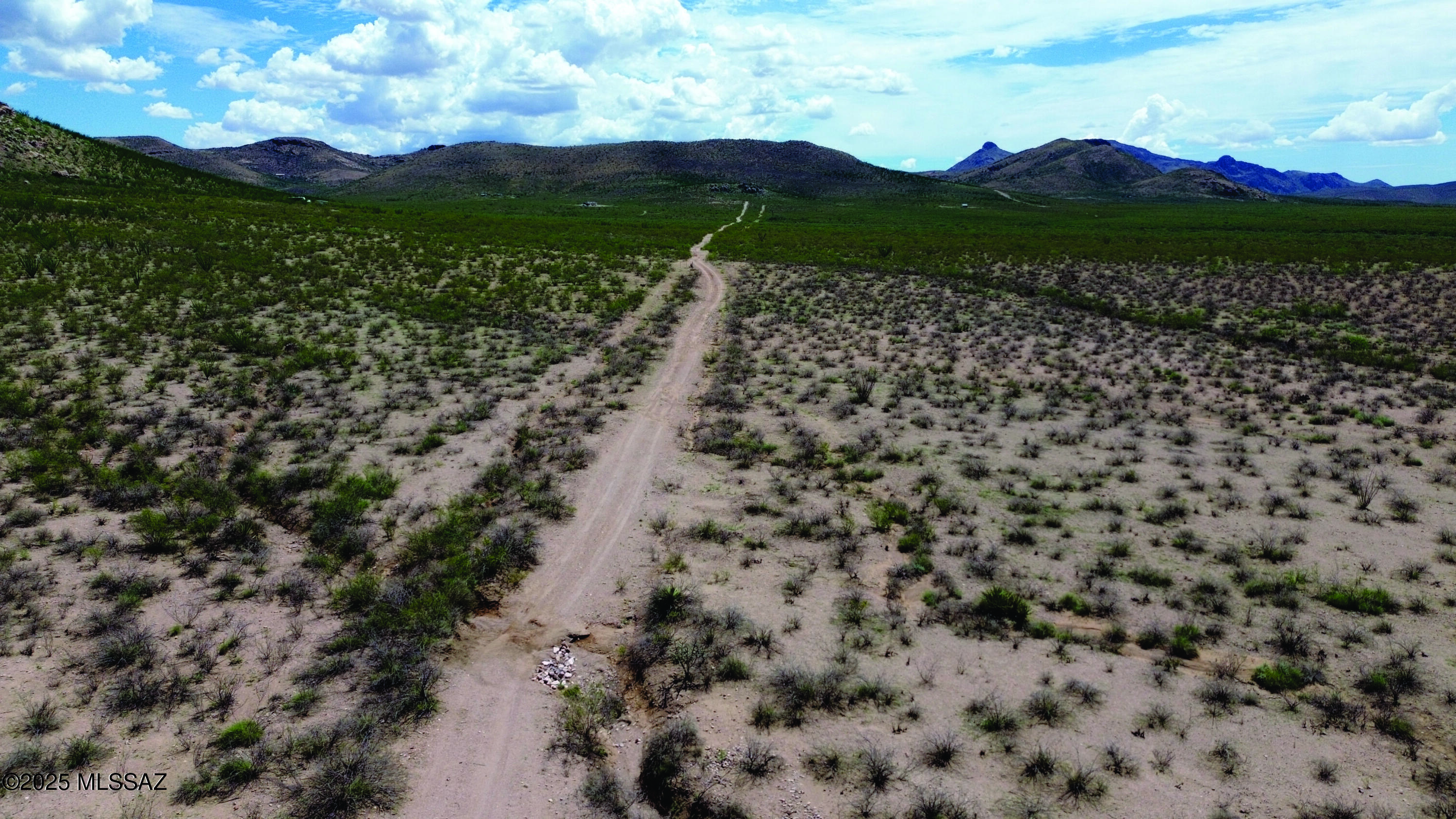 40-acres East Get Lost Road Douglas, AZ 85607 - Photo 4 of 28