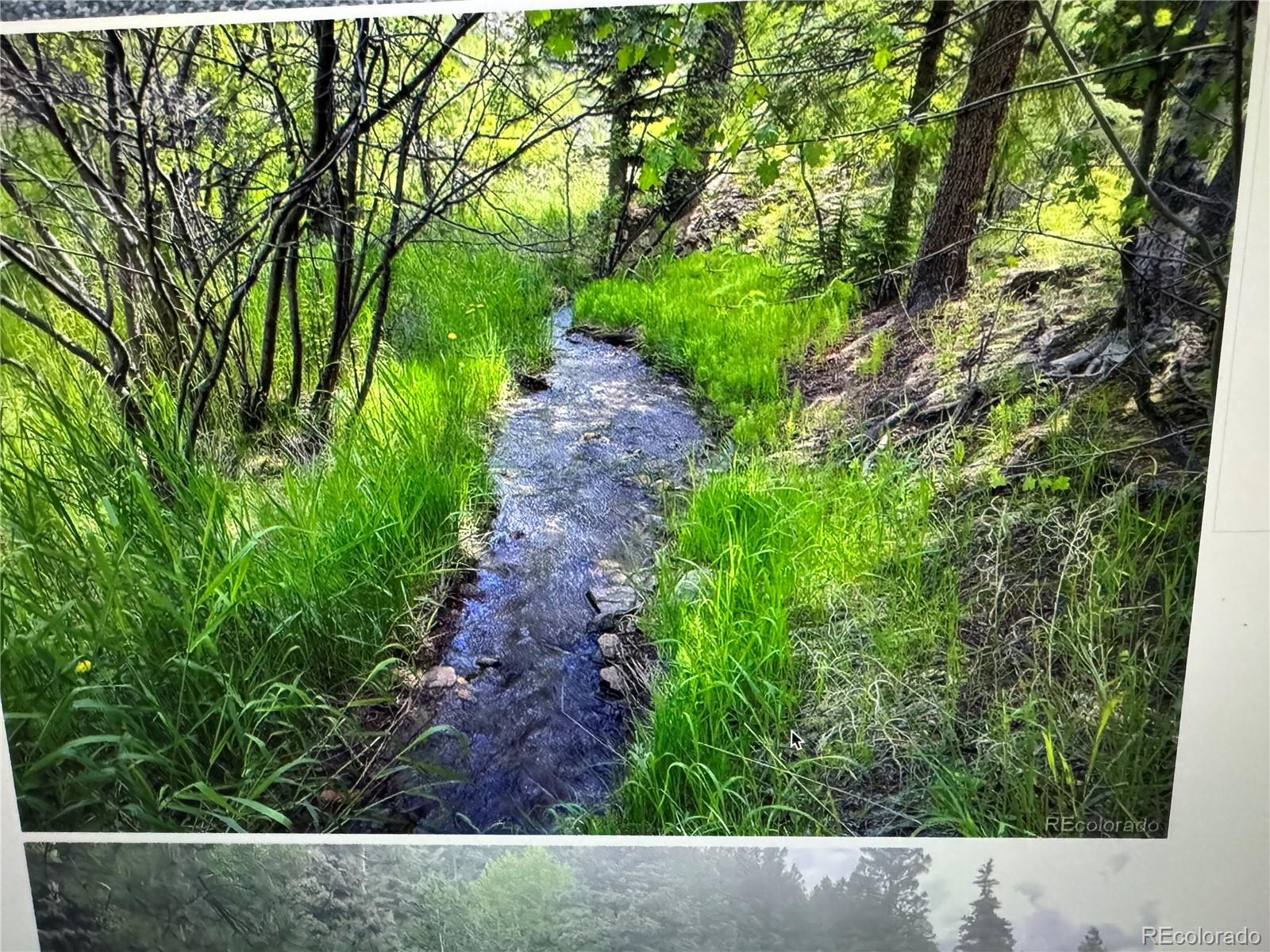 1345 Witter Gulch Road Evergreen, CO 80439 - Photo 39 of 47 Gallery Image 39