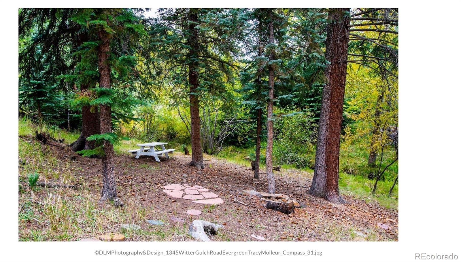1345 Witter Gulch Road Evergreen, CO 80439 - Photo 10 of 47 Gallery Image 10