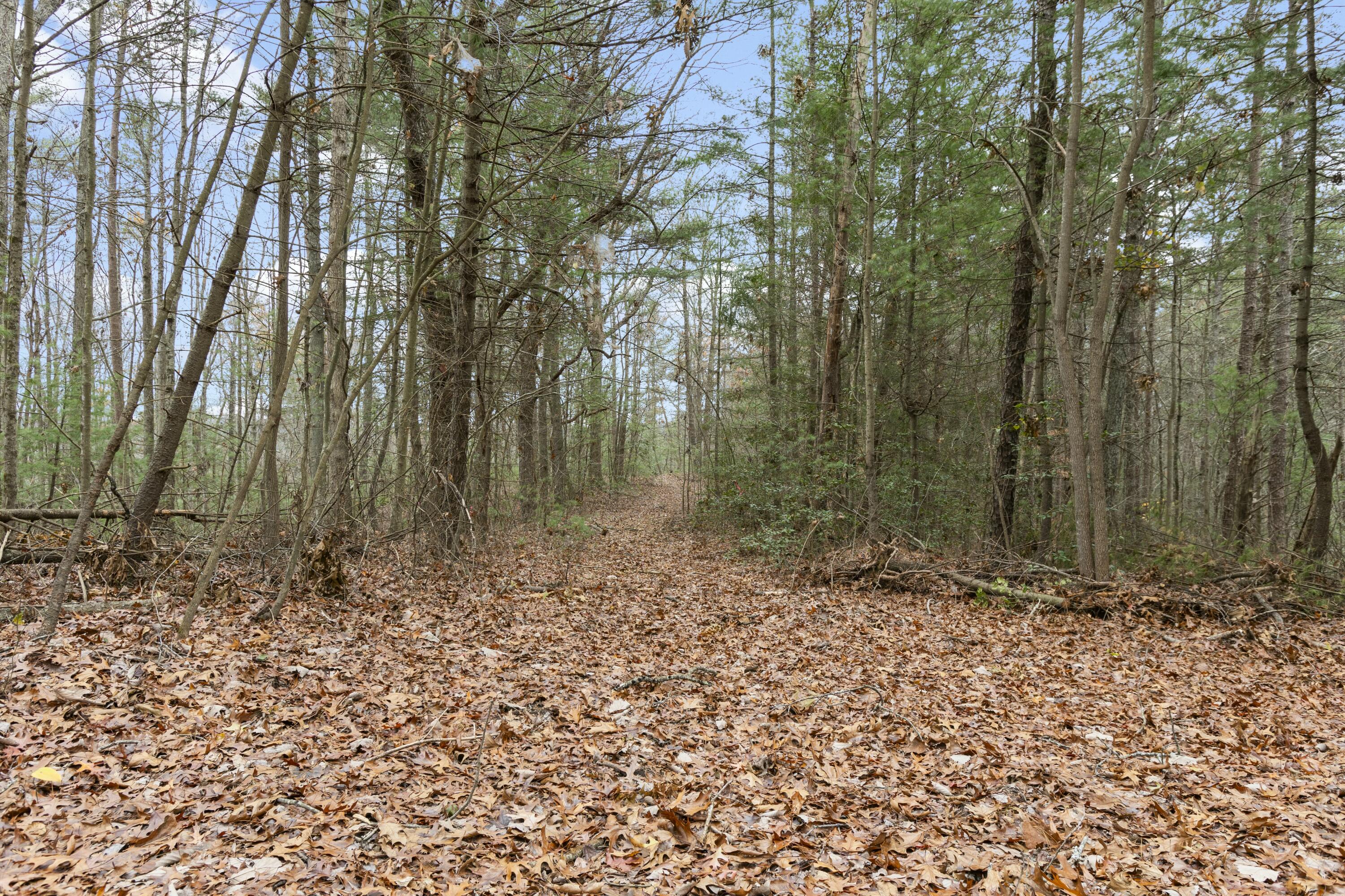 345 Wolfe Lk Road Campton, KY 41301 - Photo 28 of 36 tempImageRLKMZd