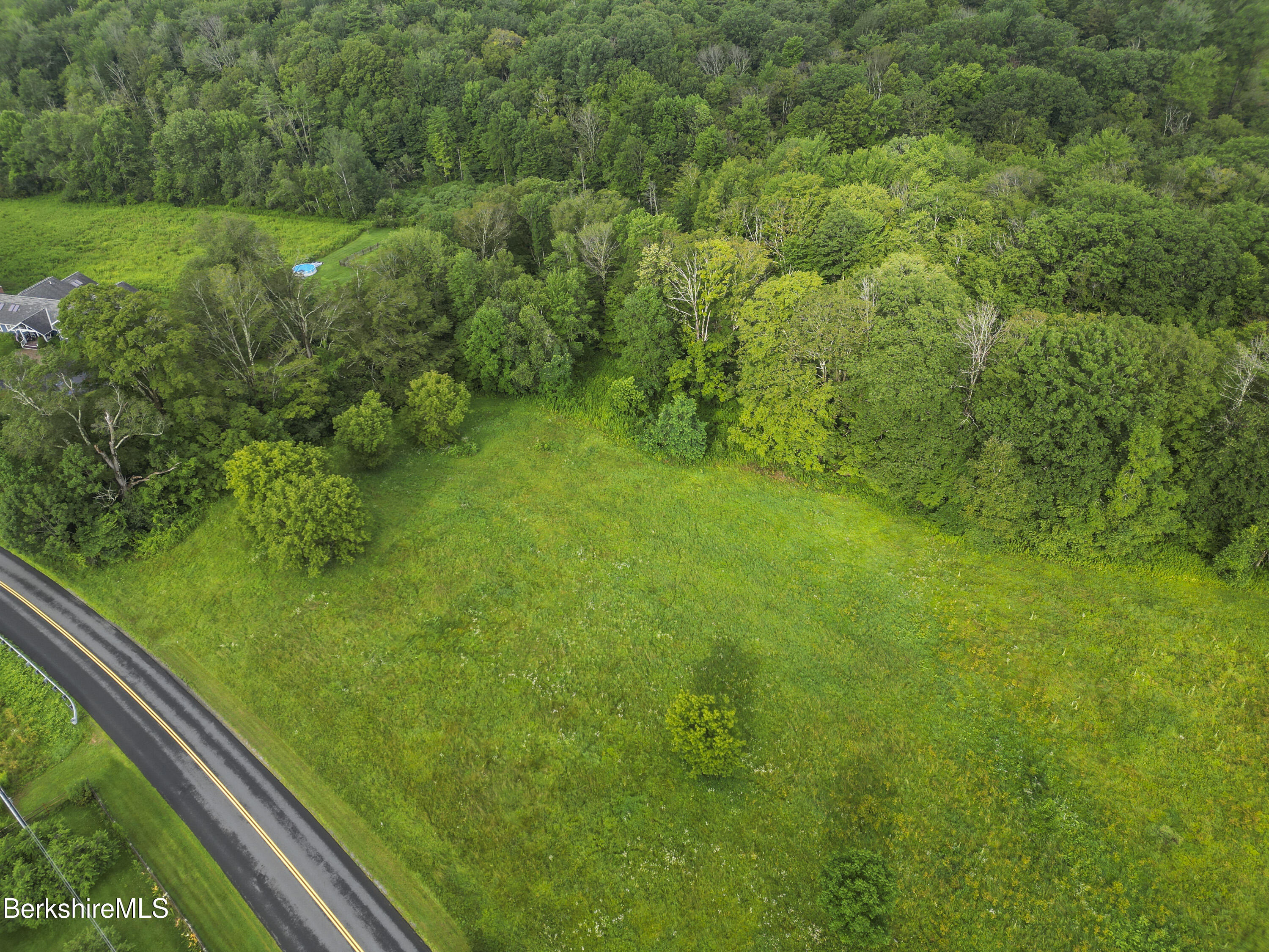 a view of a yard with a plants and trees