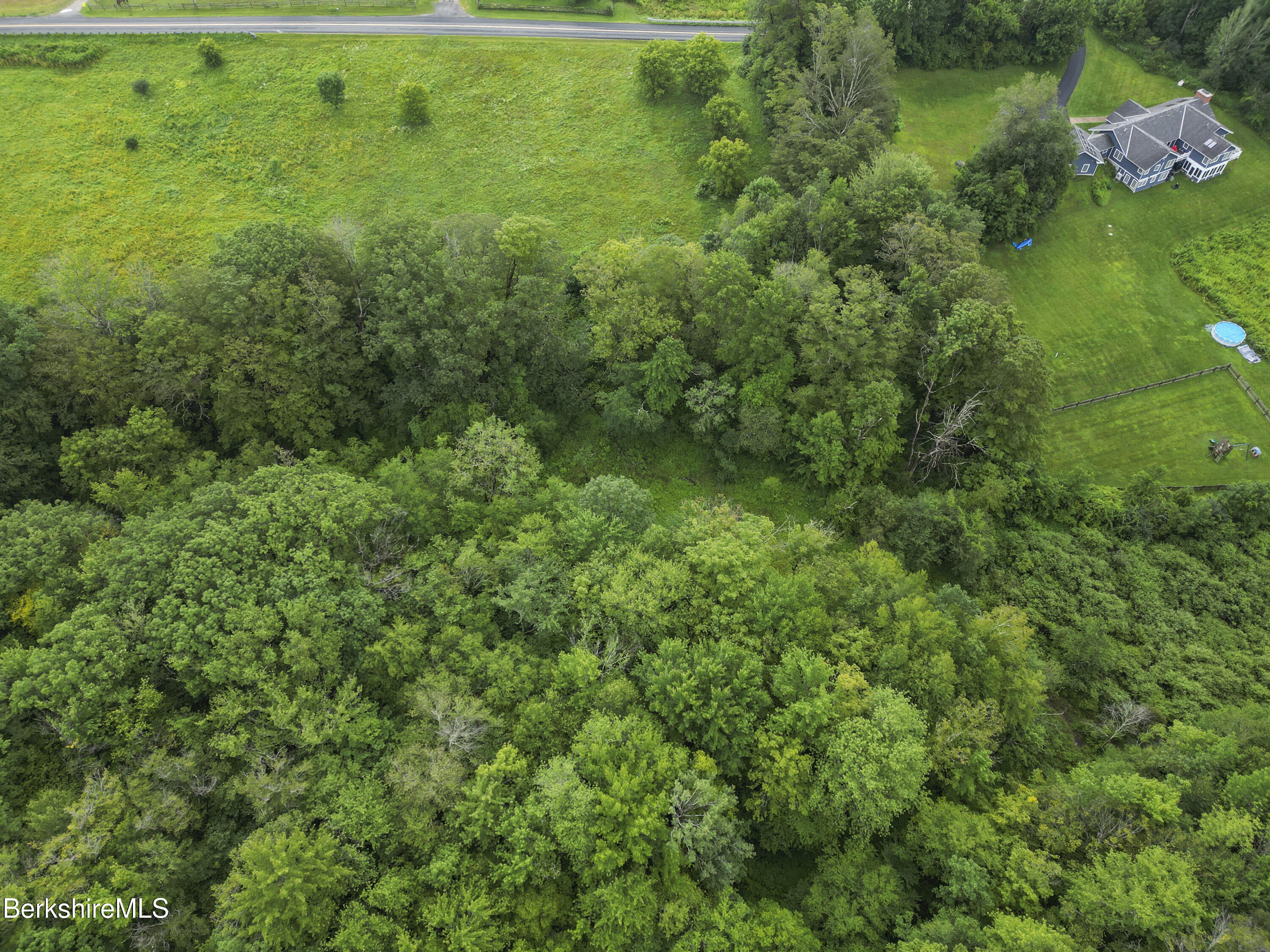 0 Bailey Road Lanesborough, MA 01237 - Photo 11 of 16 a view of a lush green forest