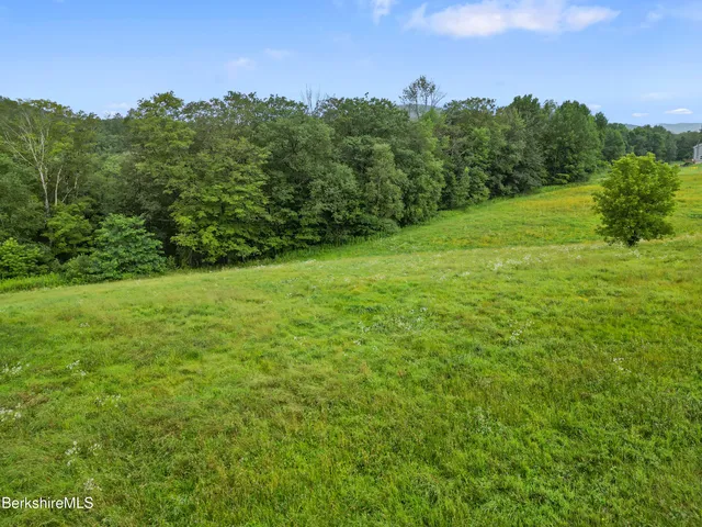 a view of a grassy field with trees in the background