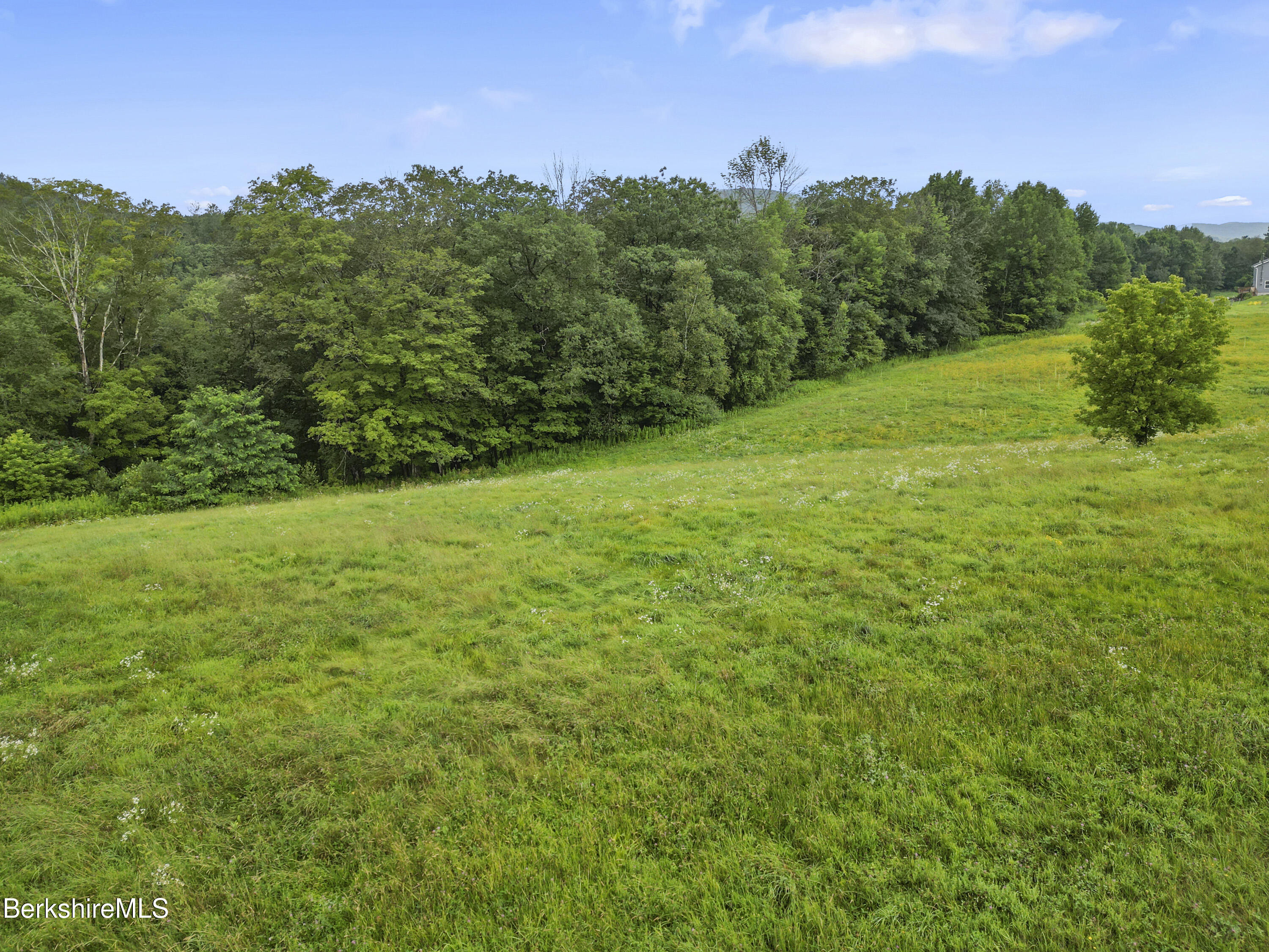 0 Bailey Road Lanesborough, MA 01237 - Photo 14 of 16 a view of a grassy field with trees in the background