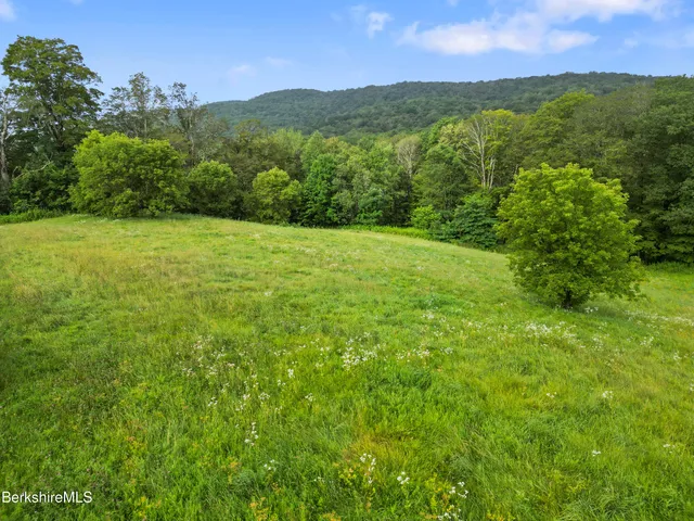 a view of an outdoor space and a yard