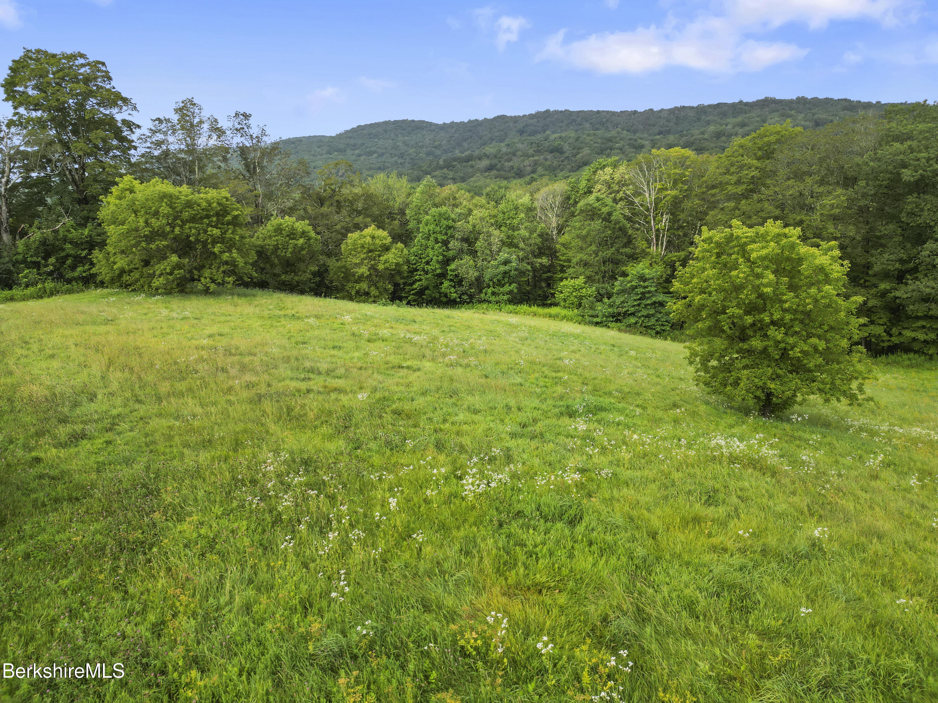 0 Bailey Road Lanesborough, MA 01237 - Photo 15 of 16 a view of an outdoor space and a yard