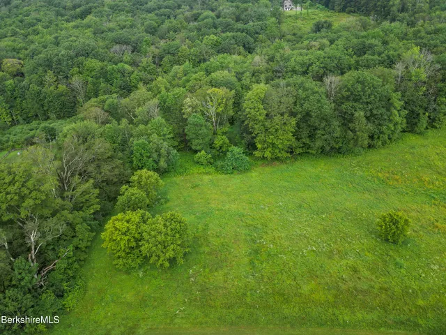a view of a lush green space