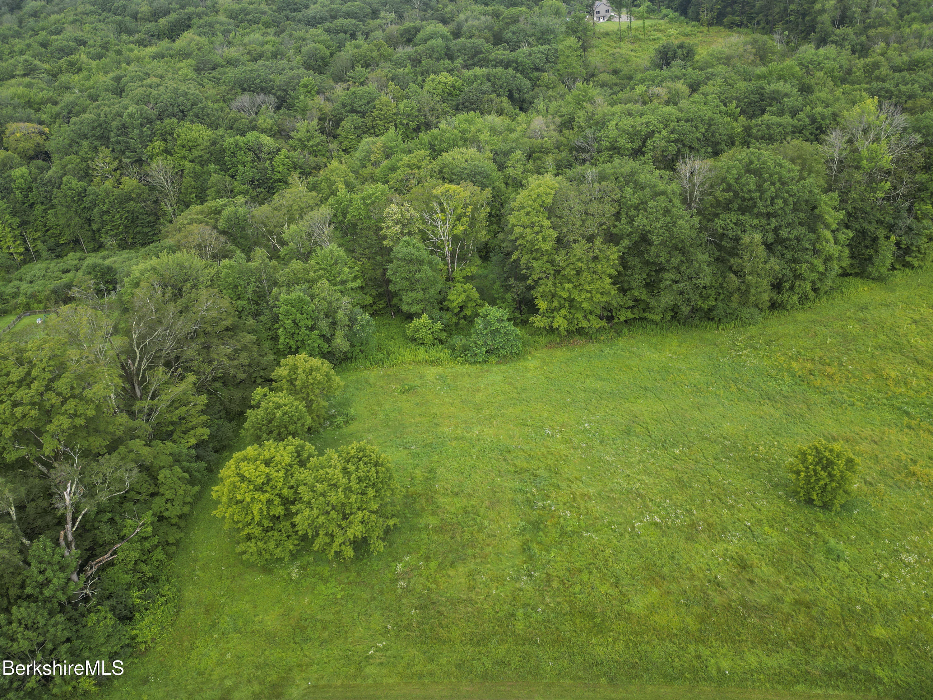 0 Bailey Road Lanesborough, MA 01237 - Photo 4 of 16 a view of a lush green space