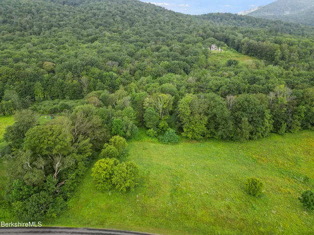 a view of a big yard with large trees