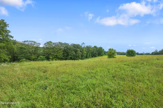 a view of a big yard with green space