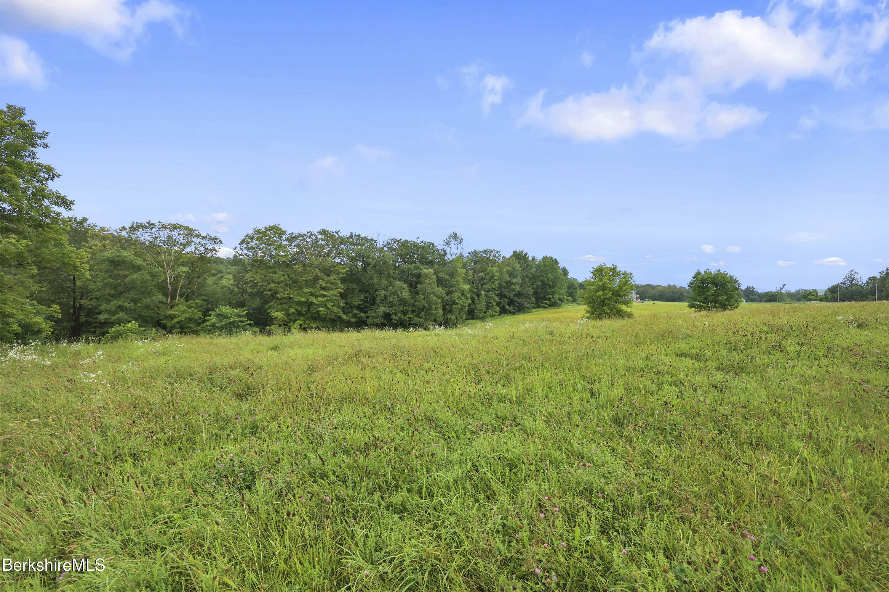 0 Bailey Road Lanesborough, MA 01237 - Photo 8 of 16 a view of a big yard with green space