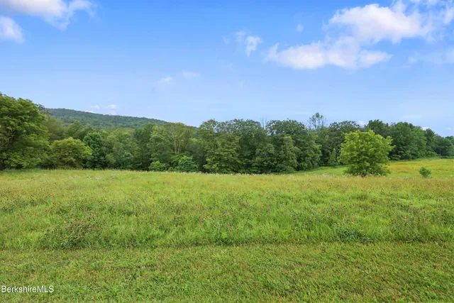 a view of a field with an trees