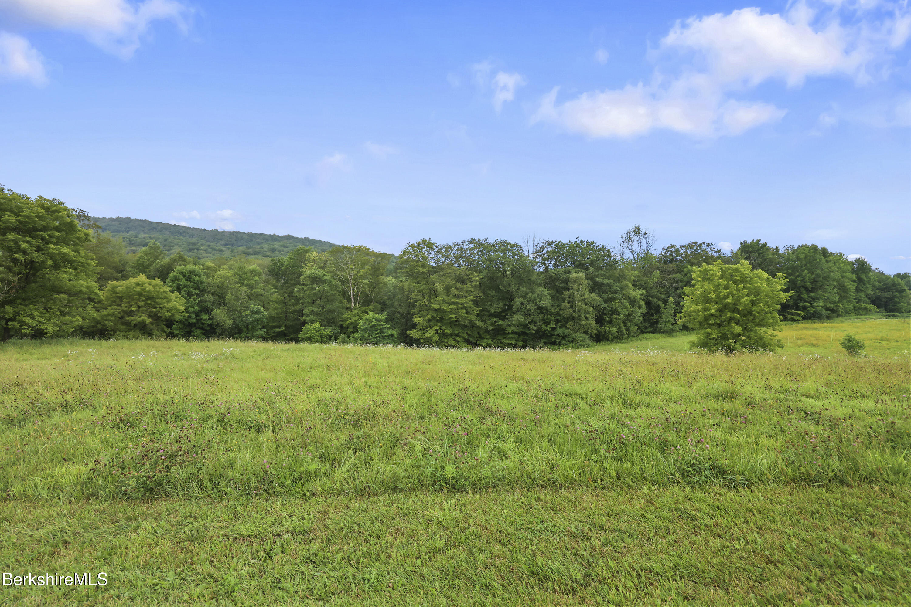 0 Bailey Road Lanesborough, MA 01237 - Photo 9 of 16 a view of a field with an trees