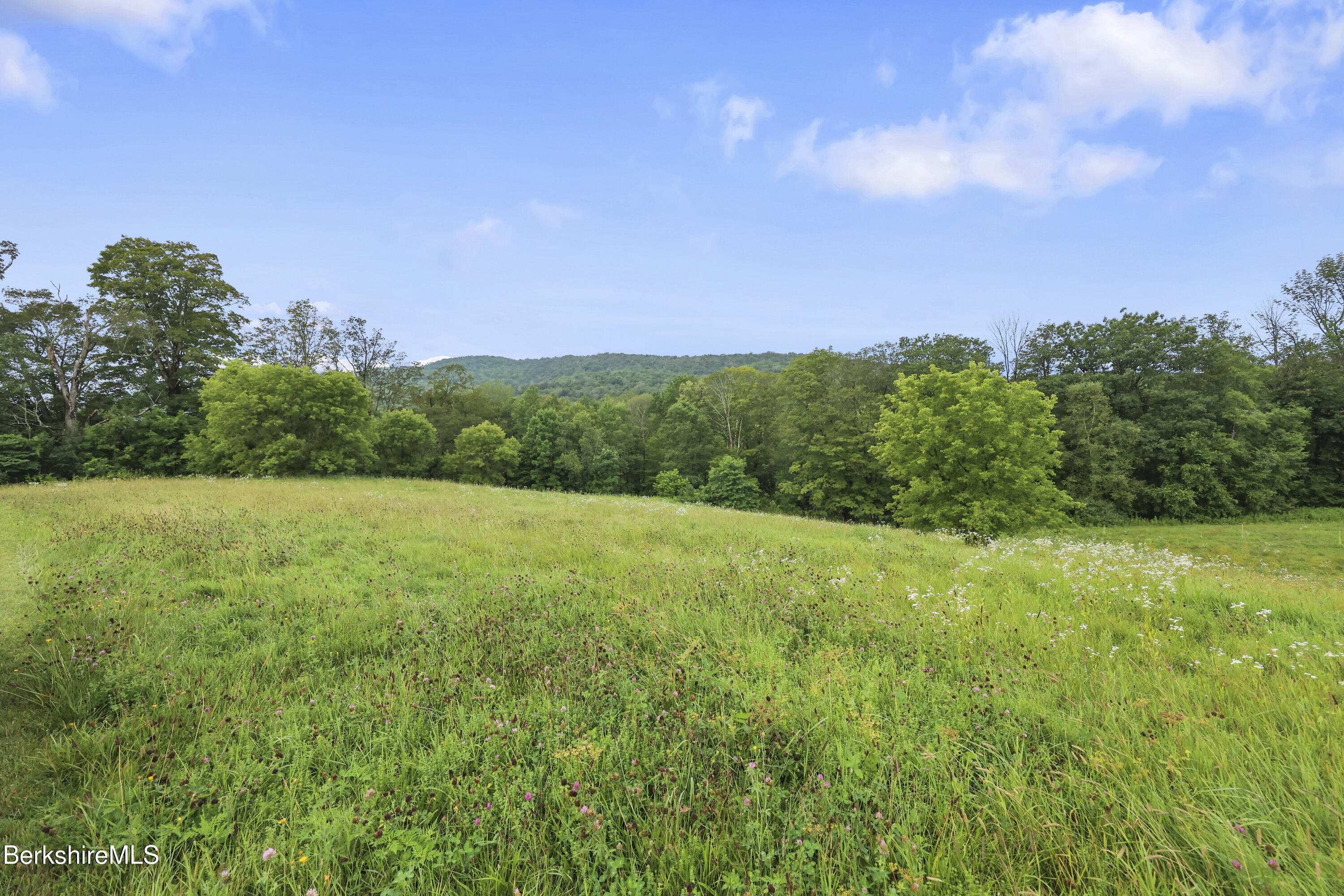 0 Bailey Road Lanesborough, MA 01237 - Photo 10 of 16 a view of a big yard with plants and large trees