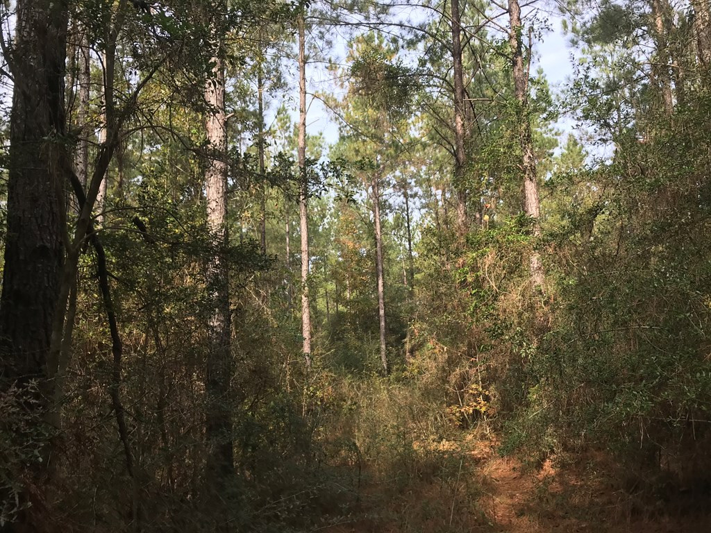 20 Bul Tylertown, MS 39667 - Photo 14 of 25 Photo 14
