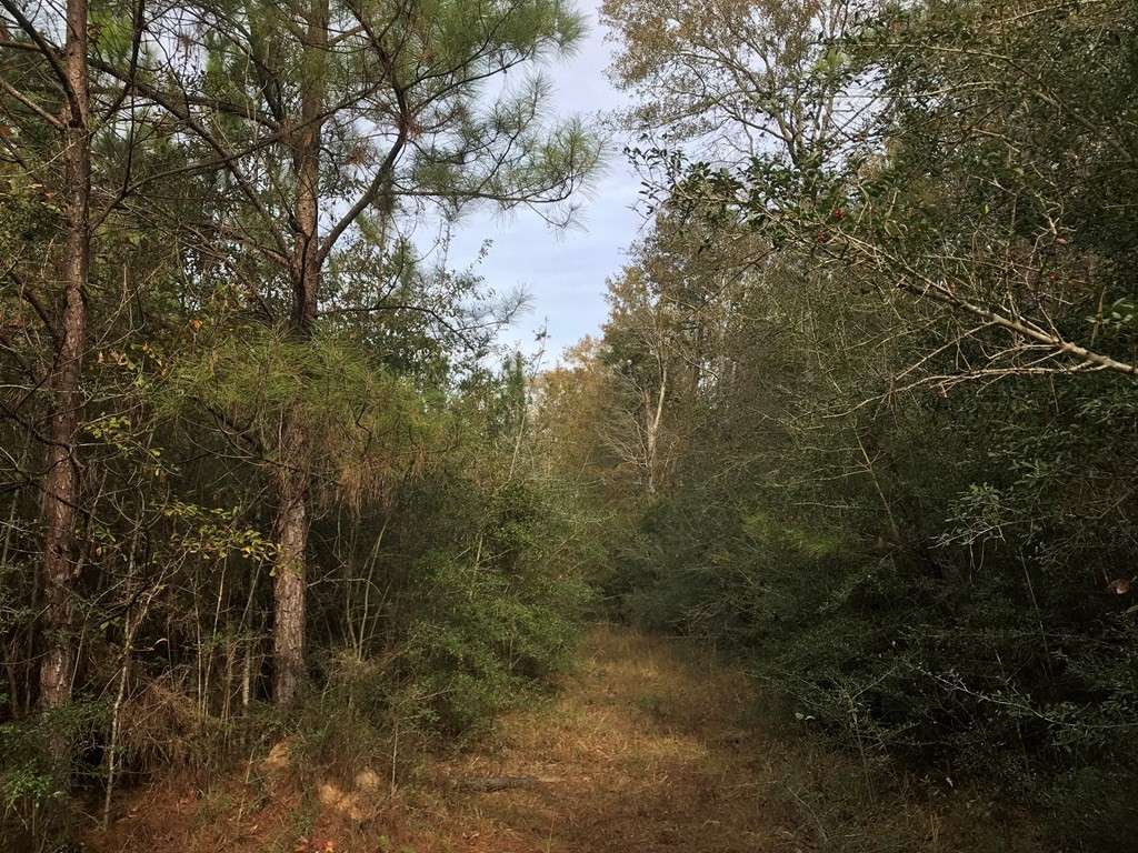 20 Bul Tylertown, MS 39667 - Photo 15 of 25 Photo 15