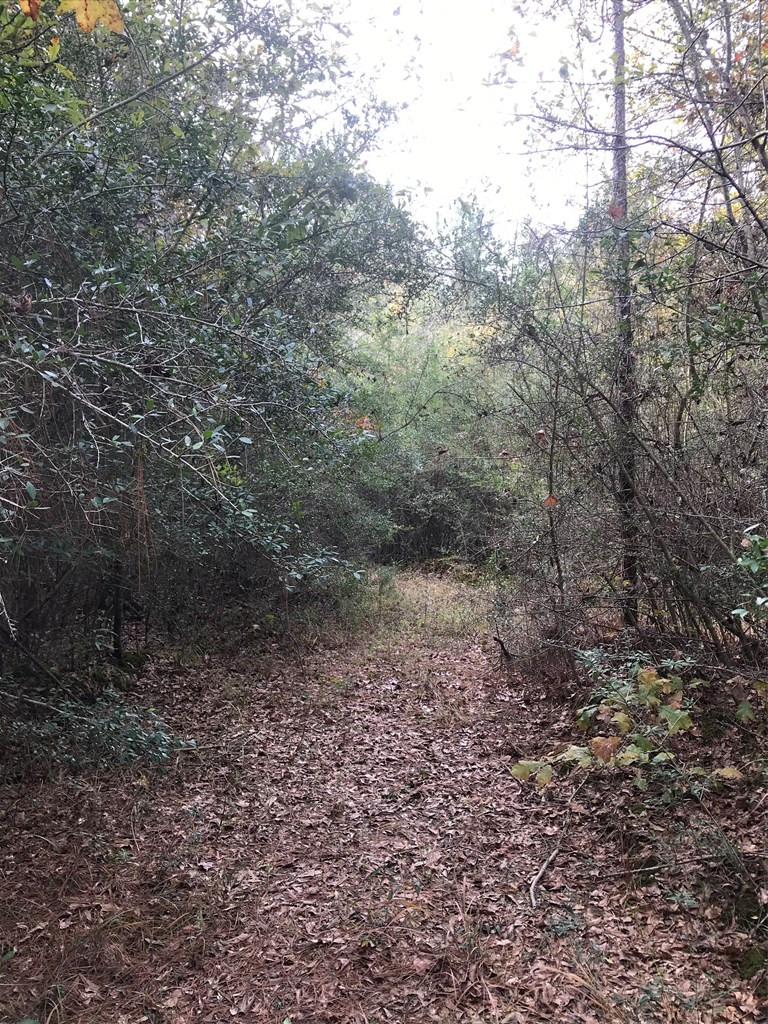 20 Bul Tylertown, MS 39667 - Photo 16 of 25 Photo 16