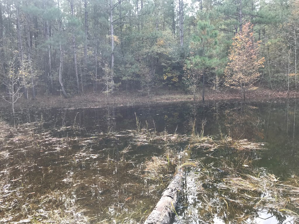 20 Bul Tylertown, MS 39667 - Photo 18 of 25 Photo 18