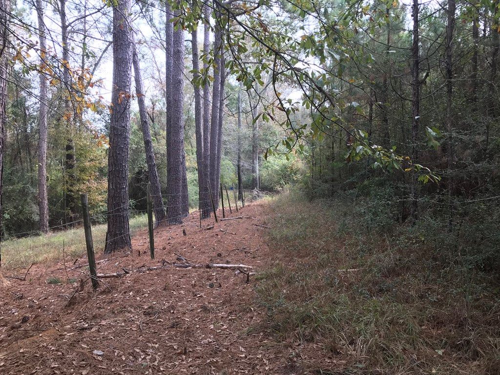 20 Bul Tylertown, MS 39667 - Photo 20 of 25 Photo 20