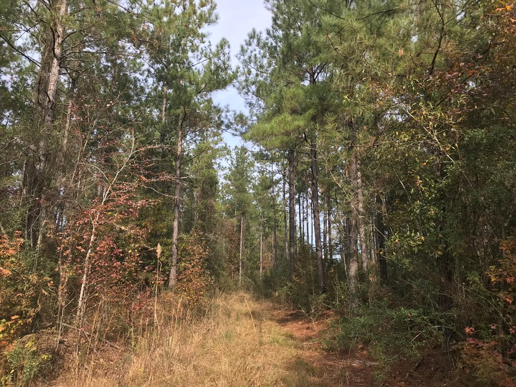 20 Bul Tylertown, MS 39667 - Photo 21 of 25 Photo 21