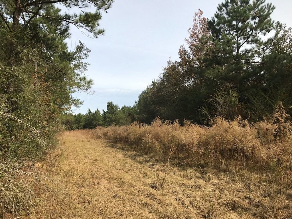 20 Bul Tylertown, MS 39667 - Photo 22 of 25 Photo 22