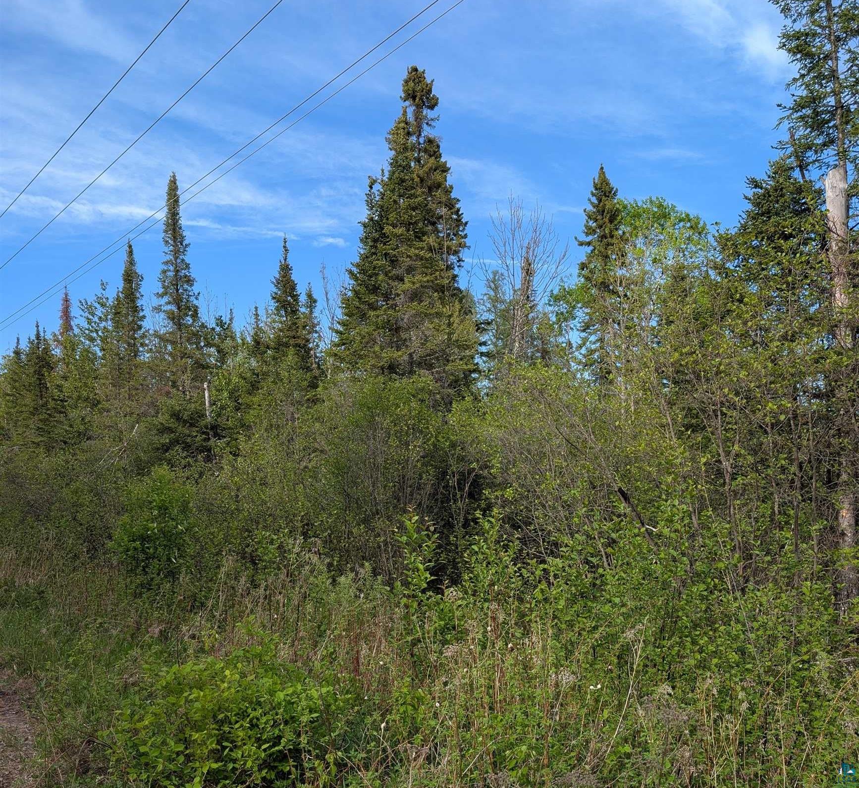Xxxx Rice Lake Road Duluth, MN 55803 - Photo 3 of 5