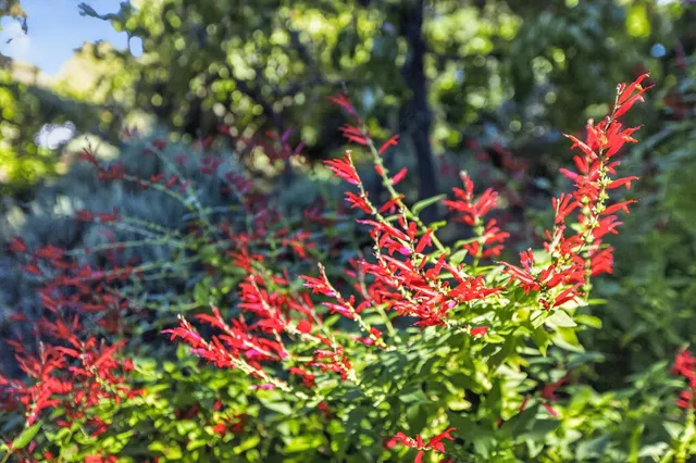 $1,365,999 | 3418 Clemens Way, Sacramento, CA 95864