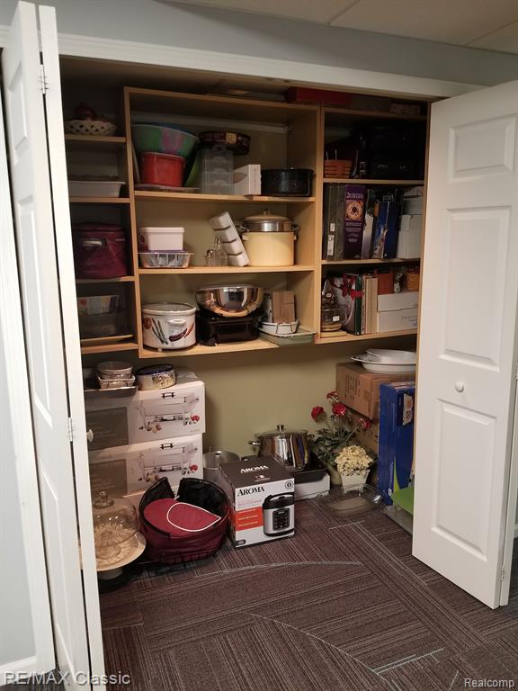 21600 Wasson Road Howell, MI 48843 - Photo 44 of 52