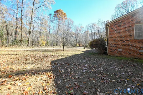 a view of a yard with trees
