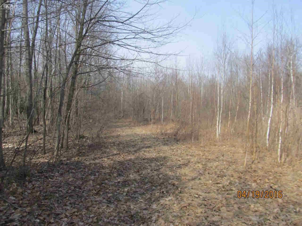 4412 Chambers Road Mayville, MI 48744 - Photo 1 of 9