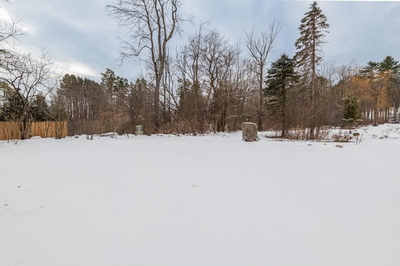141 Hillvale Road Manchester, VT 05255 - Photo 24 of 24