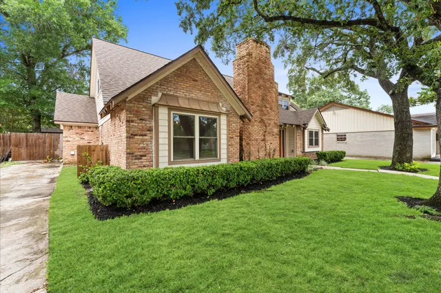 a view of a yard in front of a house with plants and large tree