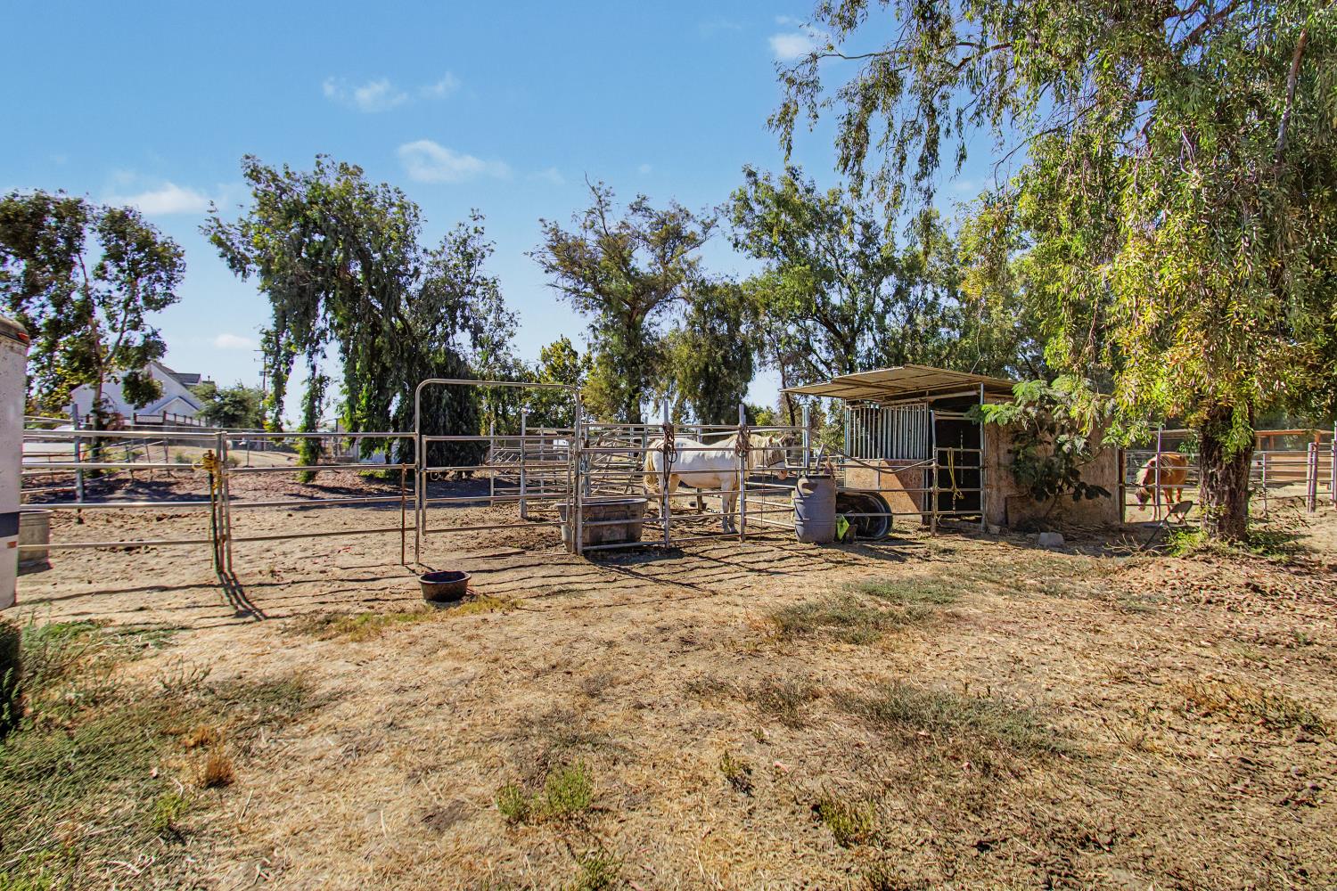 1180 Sunset Road Brentwood, CA 94513 - Photo 27 of 72 More of the horse area