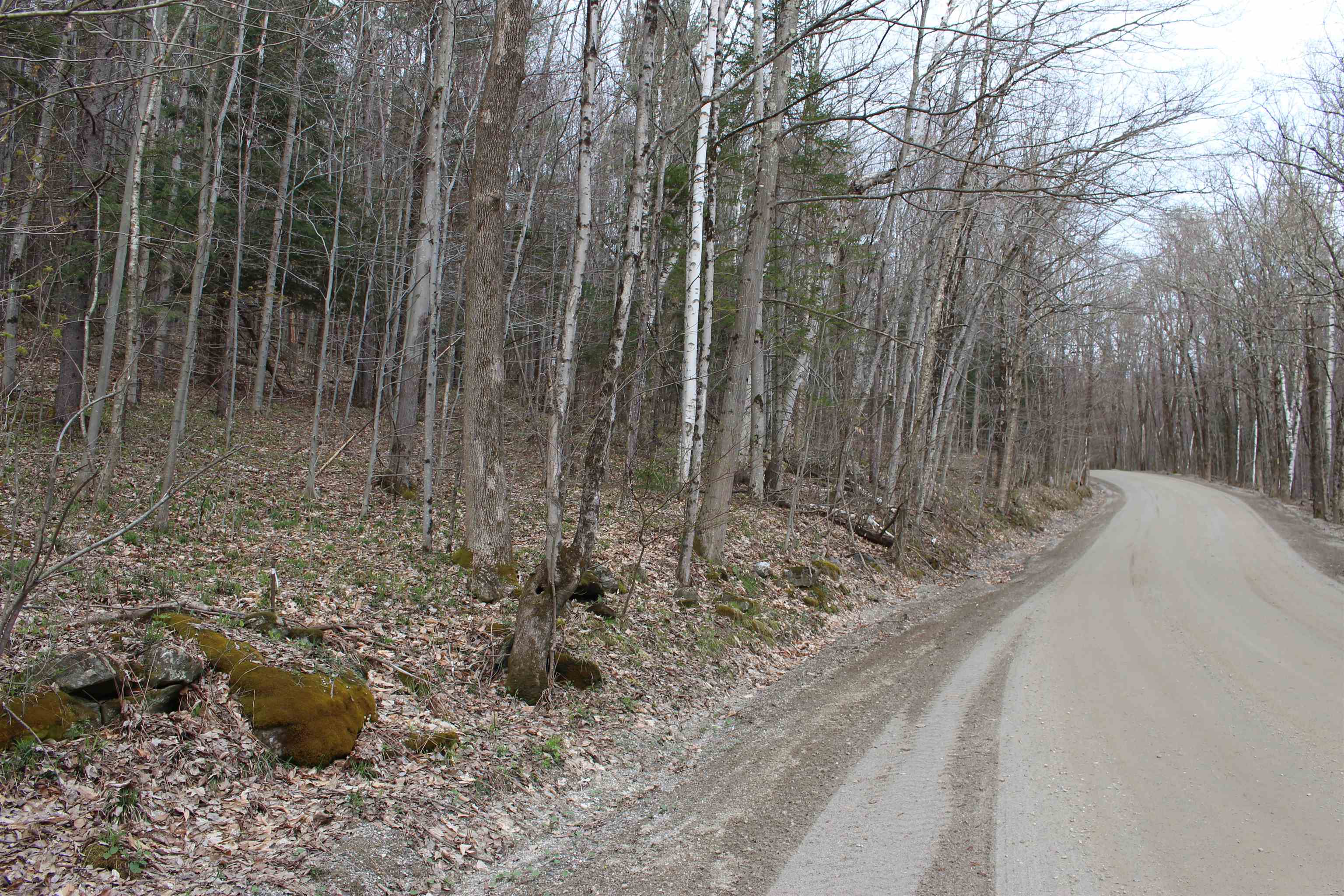 0 Upper Meehan Road Bristol, VT 05443 - Photo 7 of 20