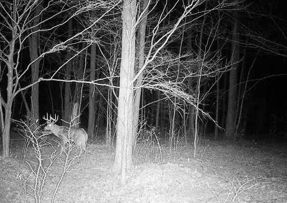Ooo Snowshoe Road Wausau, WI 54403 - Photo 42 of 48
